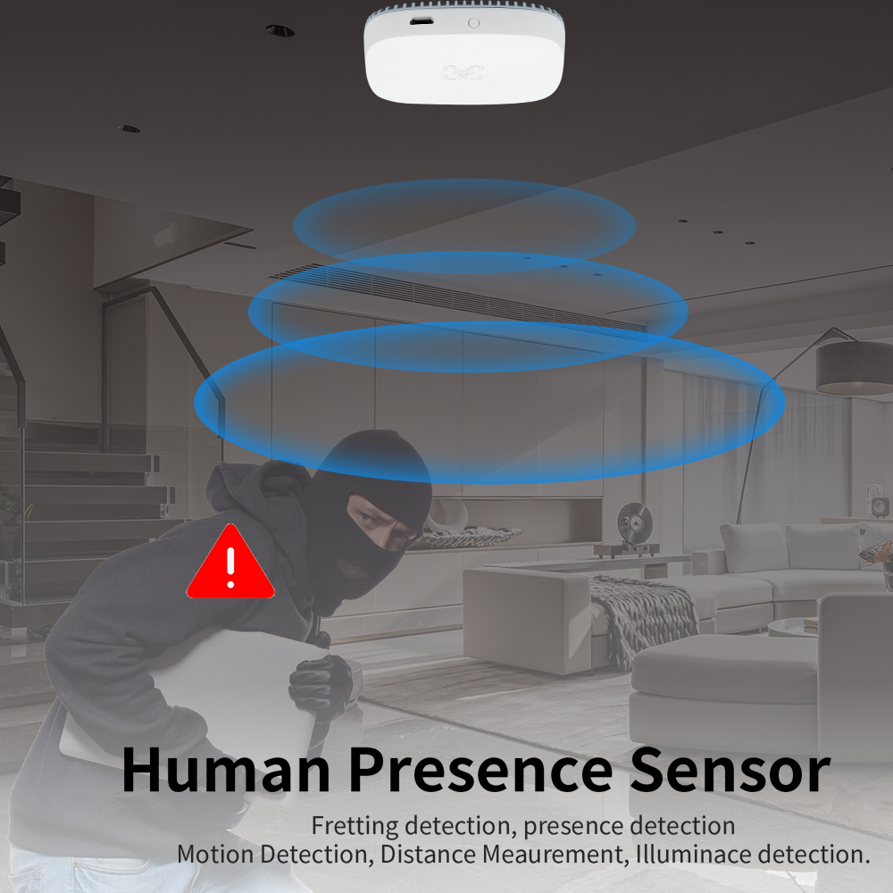 24G Mmwave Radar Human Presenc - огляд і ціна Home Assistant Tuya